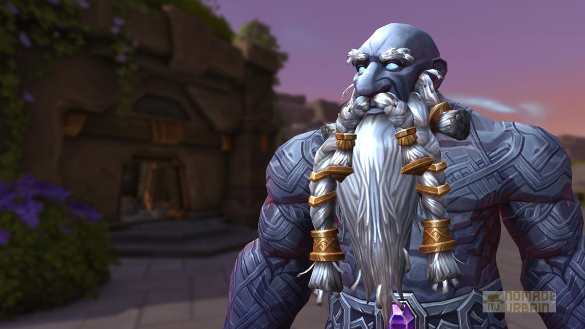 Test World of Warcraft The War Within : Le retour du Roi ? 